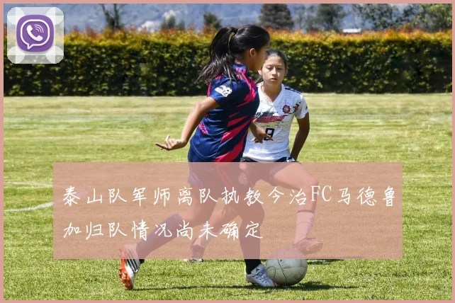 泰山队军师离队执教今治FC马德鲁加归队情况尚未确定
